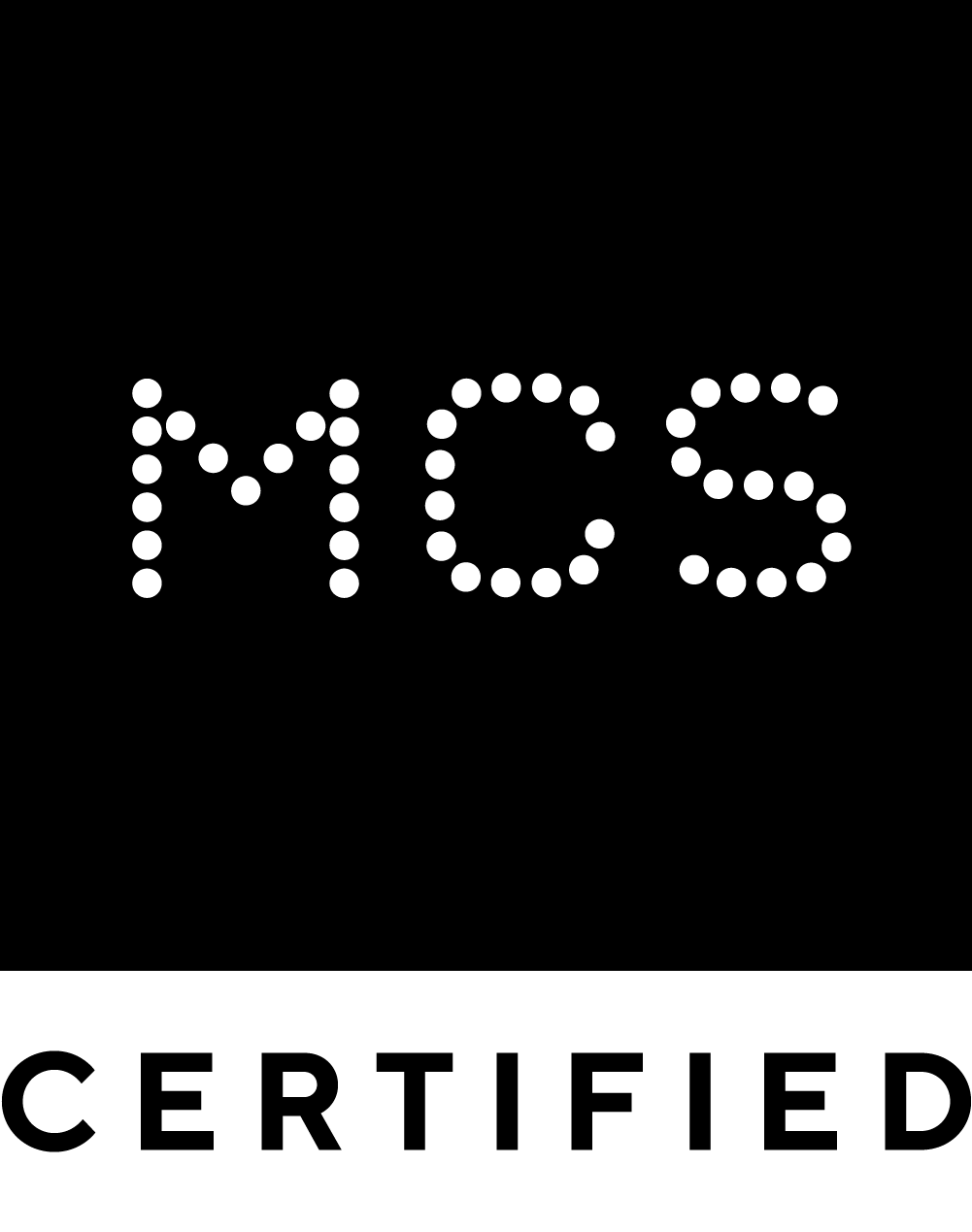 mcs logo 2