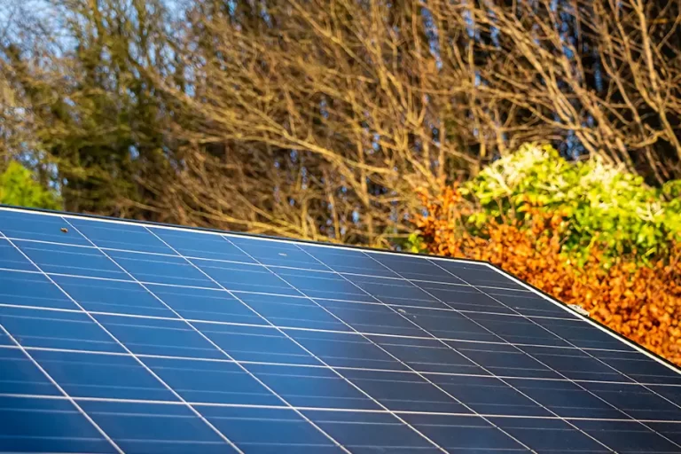 Solar Panels in Autumn