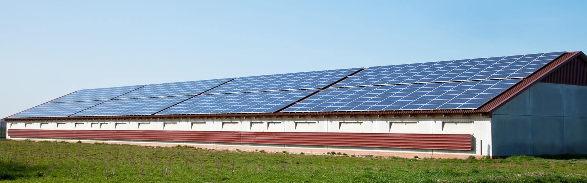 Defra&rsquo;s &pound;22 Million Poultry Housing Grant: A Game-Changer for Poultry Farmers in England