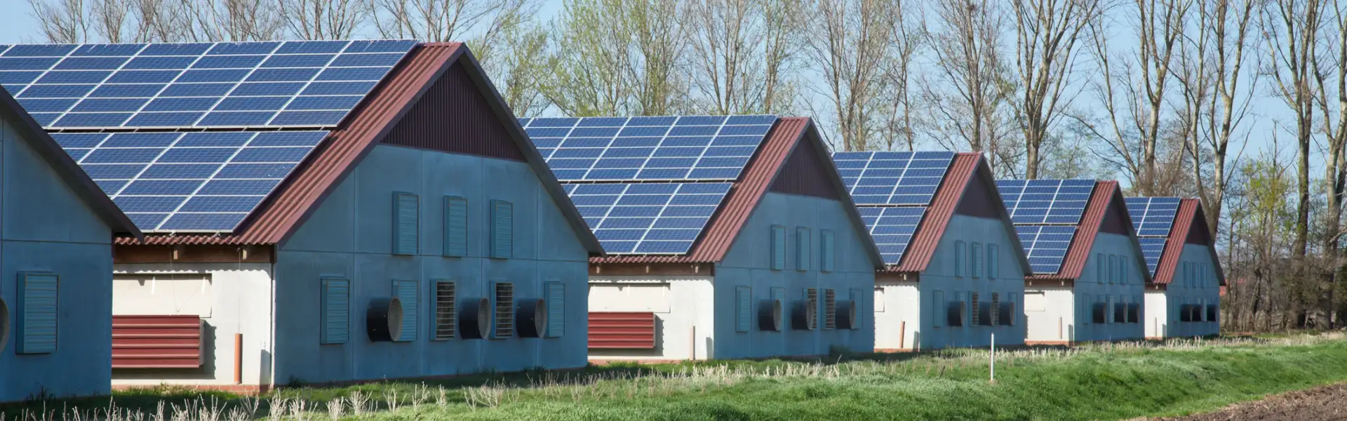 Financing Options for Adding Solar Panels to Your Farm