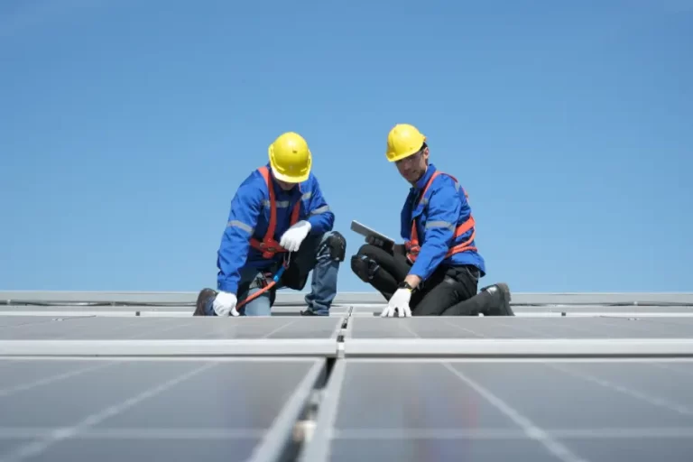 Factory Solar Panels Check