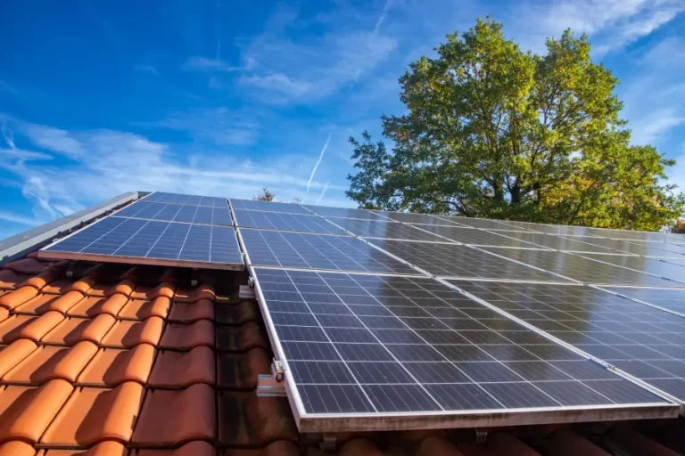 Solar Panels During Summer