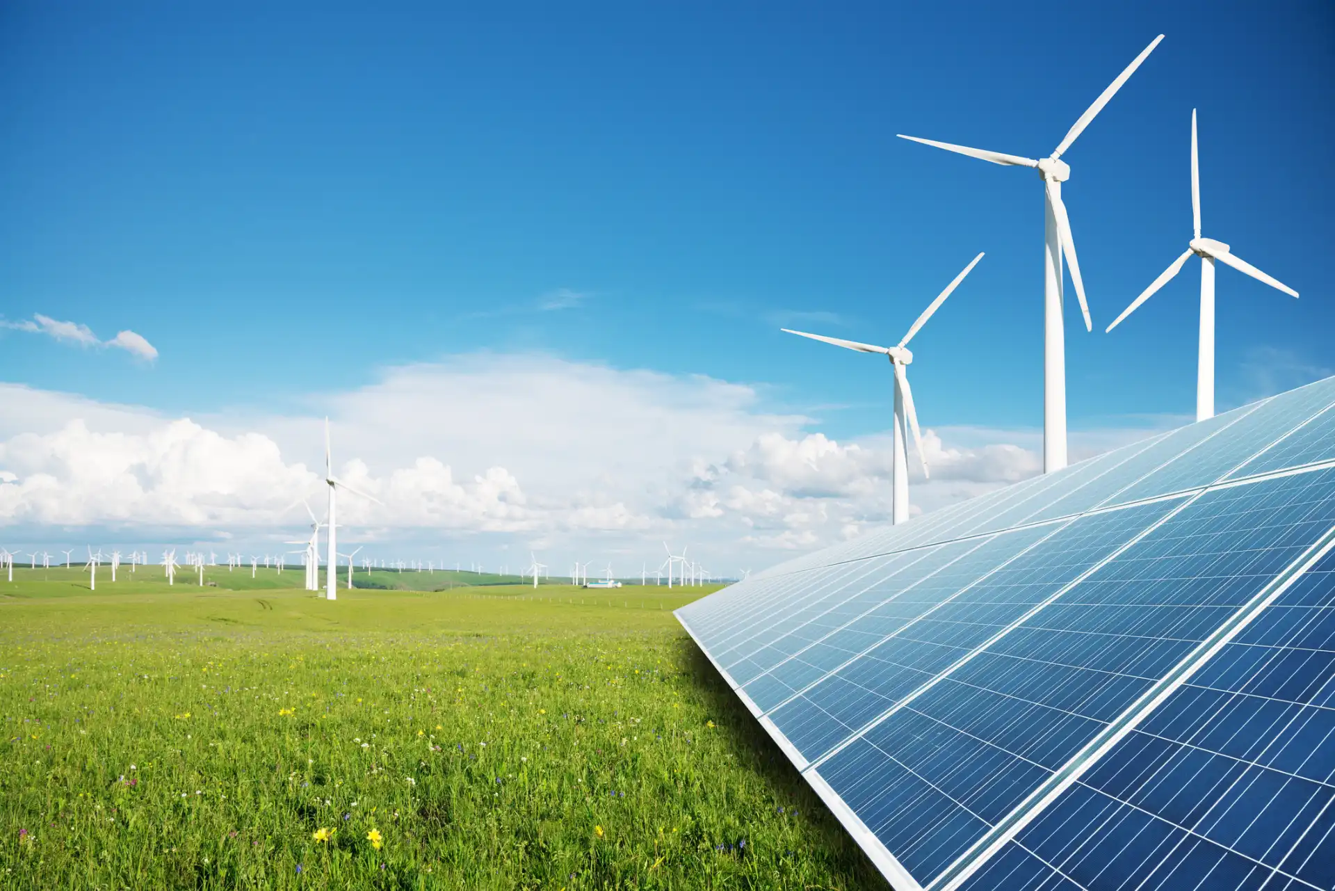 How Solar Panels Can Help You Meet Your Business&rsquo; Green Targets&nbsp;