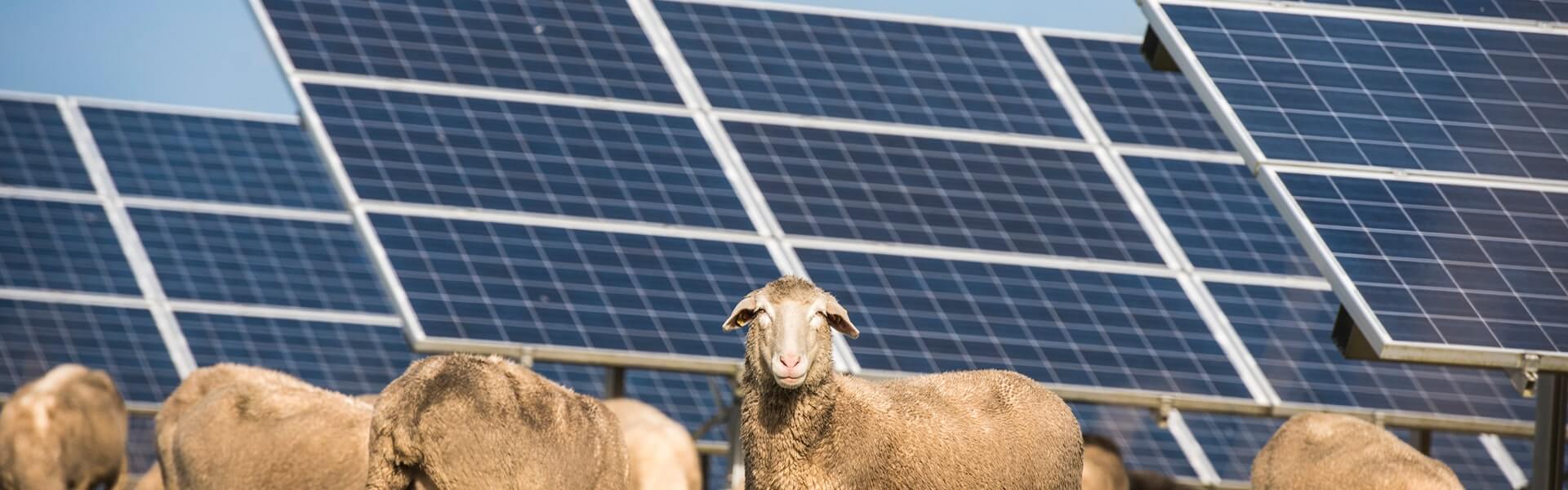 How to Reduce Energy Losses on Farms