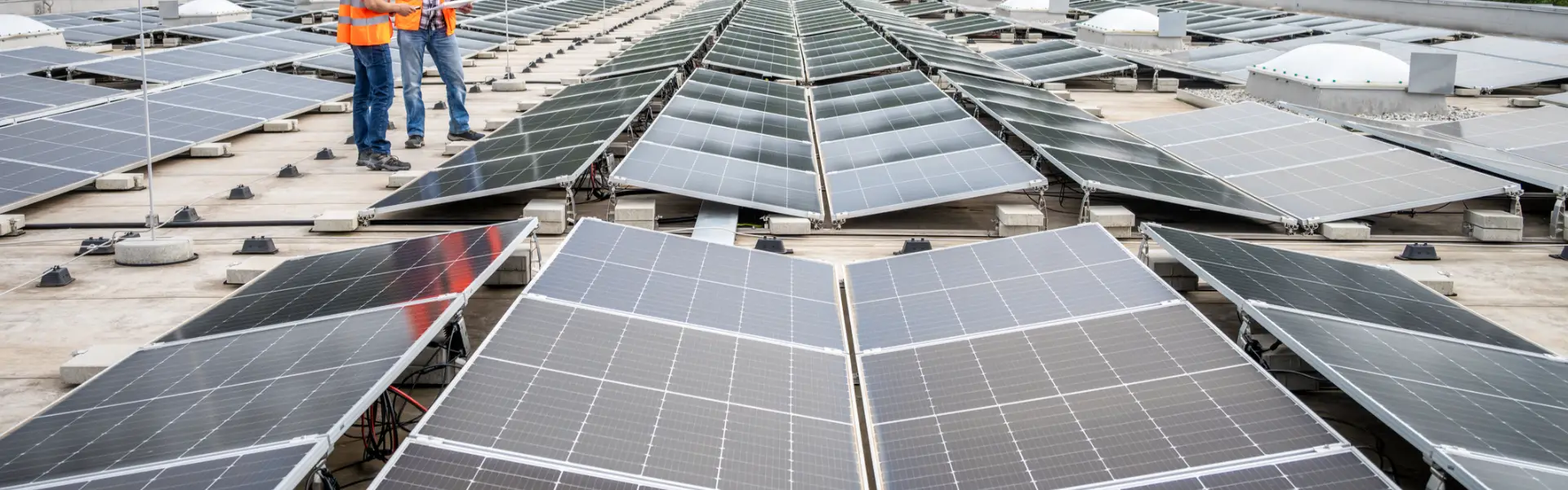The Impact of Solar Energy on Business Sustainability