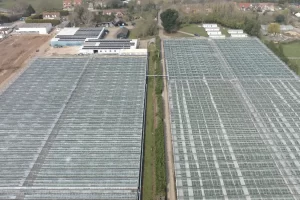 Peake Fruit Commercial Install