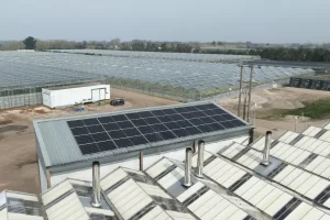 Peake Fruit Farm Solar Panels