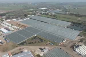 Peake Fruit Farm Solar Panels Installation