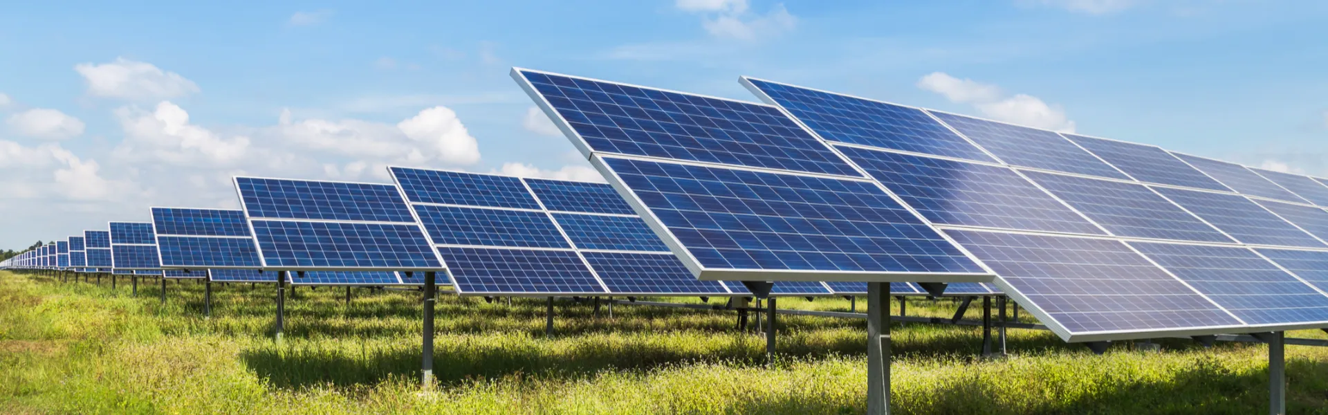 How Large-Scale Solar Farms Work for Businesses