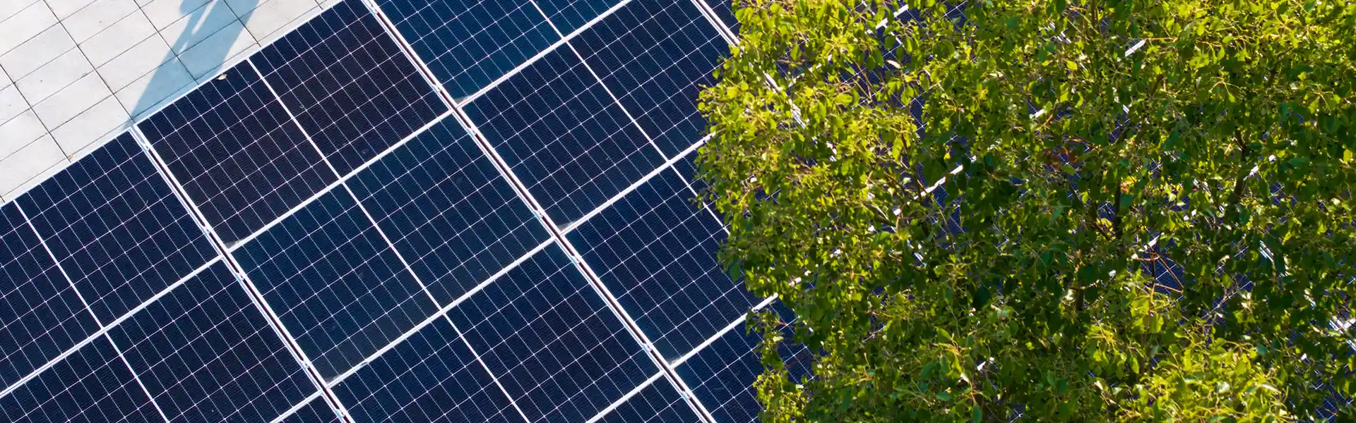 Beyond the Energy Bill: 5 Environmental Benefits of Commercial Solar PV